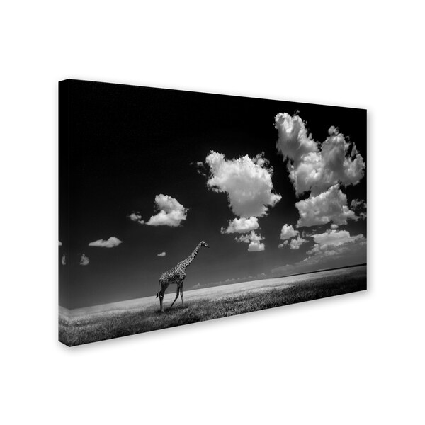 Alberto Ghizzi Panizza 'Gone With The Clouds' Canvas Art,16x24